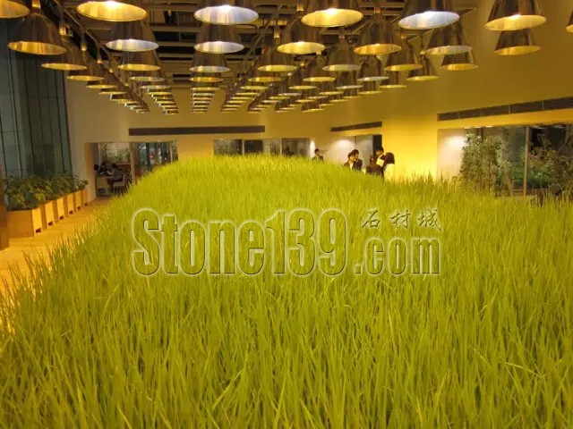 石材從業者的工作環境夢想終極篇 辦公室的綠色