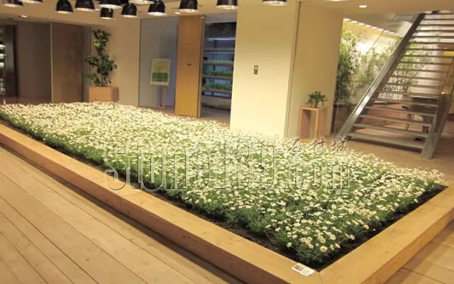 石材從業者的工作環境夢想終極篇 辦公室的綠色