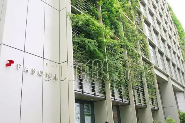 石材從業者的工作環境夢想終極篇 辦公室的綠色