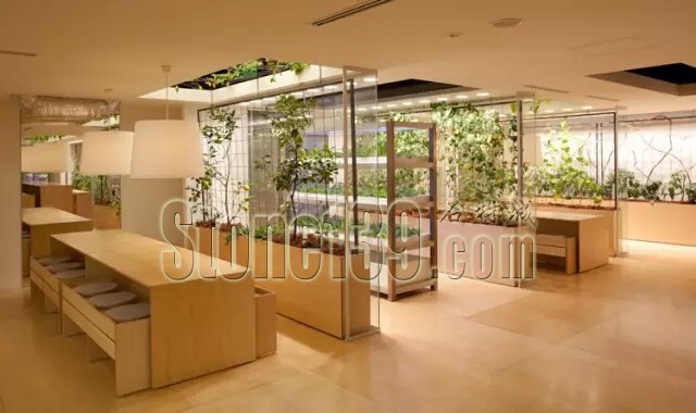 石材從業者的工作環境夢想終極篇 辦公室的綠色