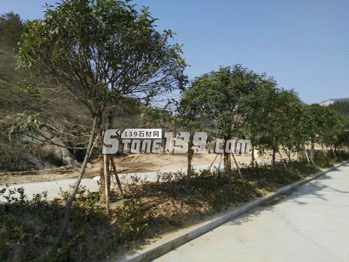 隨州石材變“石材園”為“生態(tài)園”、“示范園”、“旅游園”