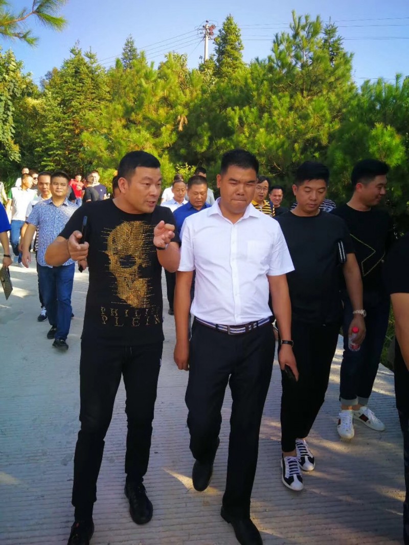 湖北麻城市委常委、統戰部部長戴昌遠一行考察交流富強石材綠色礦山經驗