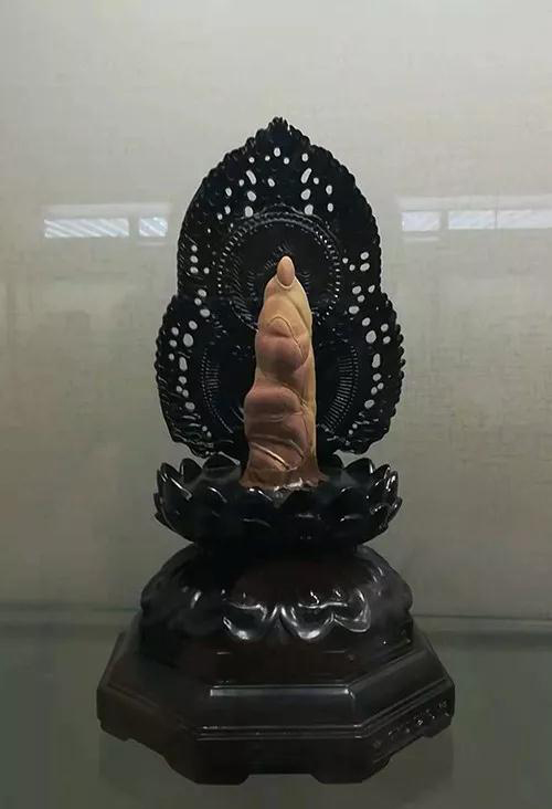 安徽首屆奇石文化交流博覽會(huì)開幕,熱乎乎的金獎(jiǎng)都在這里了!