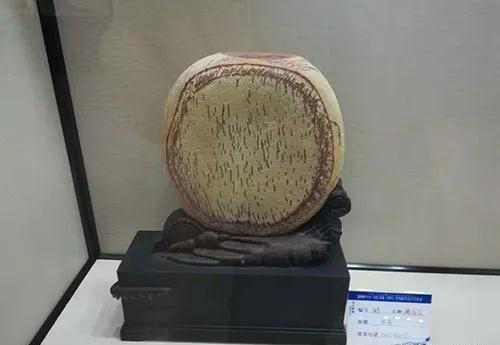 安徽首屆奇石文化交流博覽會(huì)開幕,熱乎乎的金獎(jiǎng)都在這里了!