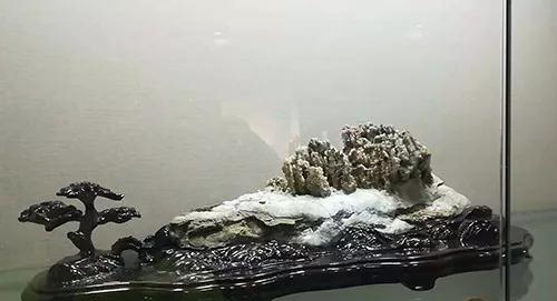 安徽首屆奇石文化交流博覽會(huì)開幕,熱乎乎的金獎(jiǎng)都在這里了!