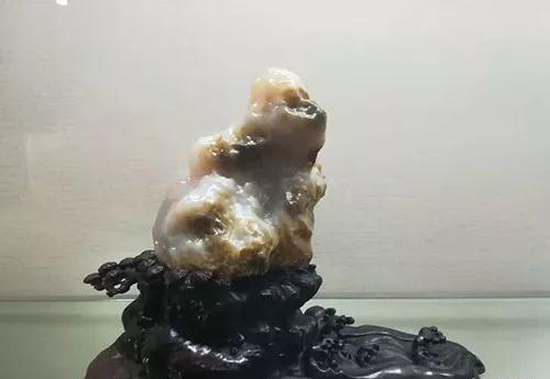 安徽首屆奇石文化交流博覽會(huì)開幕,熱乎乎的金獎(jiǎng)都在這里了!