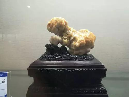 安徽首屆奇石文化交流博覽會(huì)開幕,熱乎乎的金獎(jiǎng)都在這里了!