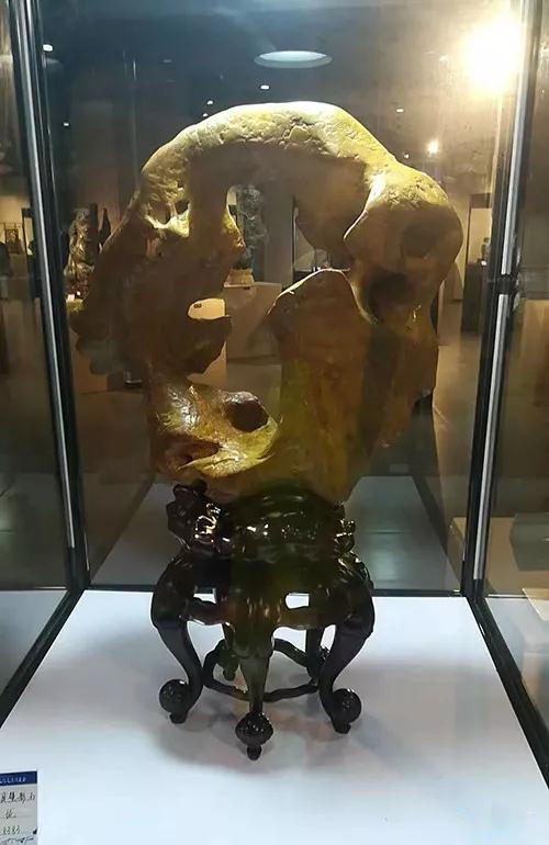 安徽首屆奇石文化交流博覽會(huì)開幕,熱乎乎的金獎(jiǎng)都在這里了!