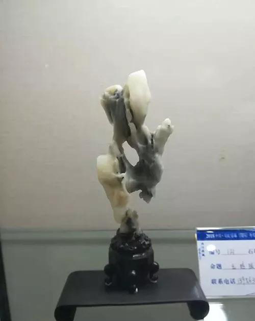 安徽首屆奇石文化交流博覽會(huì)開幕,熱乎乎的金獎(jiǎng)都在這里了!