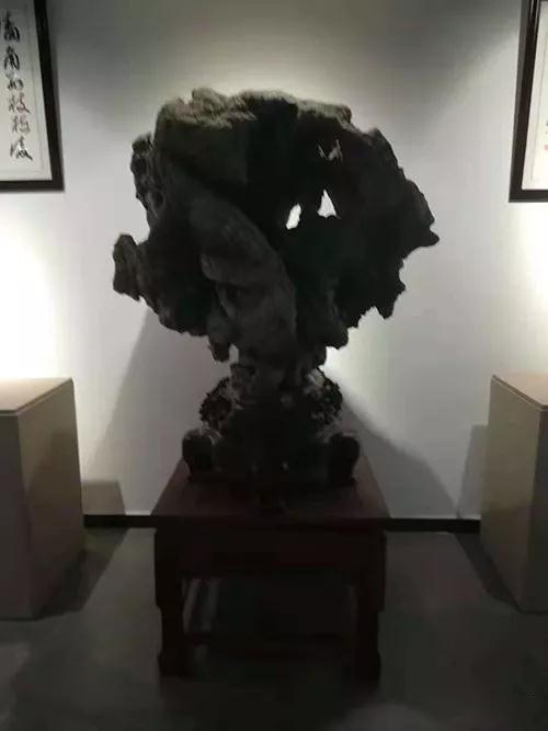 在新窗口打開圖片 安徽首屆奇石文化交流博覽會(huì)開幕,熱乎乎的金獎(jiǎng)都在這里了!