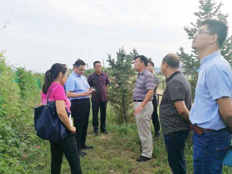 礦山環(huán)境&ldquo;開發(fā)式治理&rdquo;之路如何走？