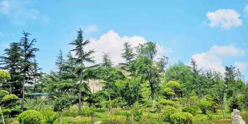 礦山環(huán)境&ldquo;開發(fā)式治理&rdquo;之路如何走？