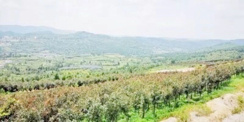 礦山環(huán)境&ldquo;開發(fā)式治理&rdquo;之路如何走？