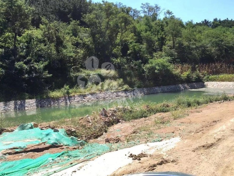 山東榮成(石島紅皇室珍珠產(chǎn)地):鐵腕修復(fù)礦山,再塑生態(tài)翠屏