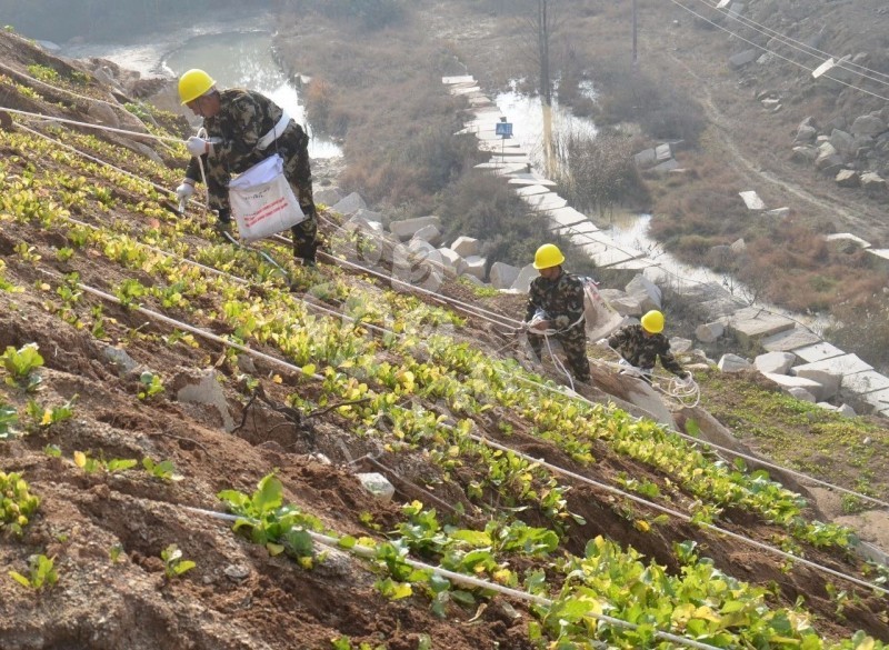 湖北隨州石材業(yè)國(guó)家鼓勵(lì)發(fā)展的產(chǎn)業(yè)集群!且黃金麻可以下料了!