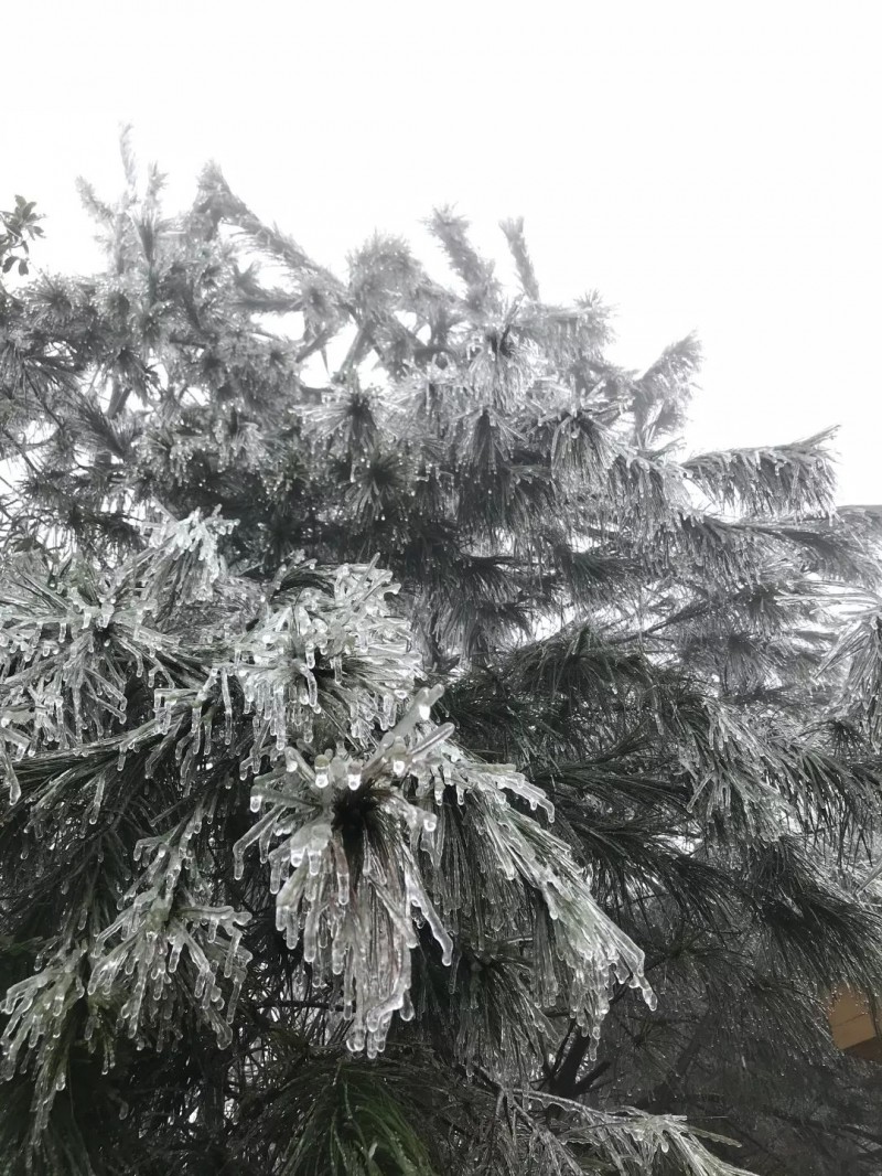 蔓延全國的富強(qiáng)石材礦山“綠色發(fā)展理念”是怎么做的?