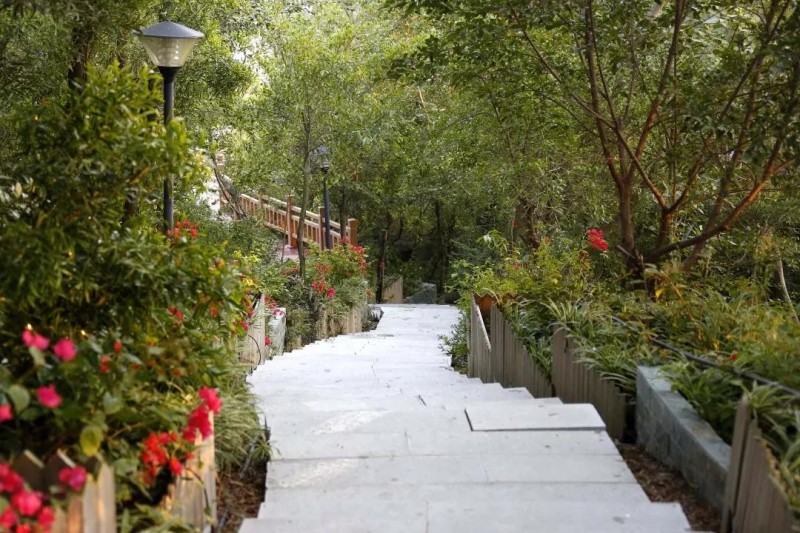 (福建白麻產地)晉江英林陳山:石材礦山“變身”生態公園