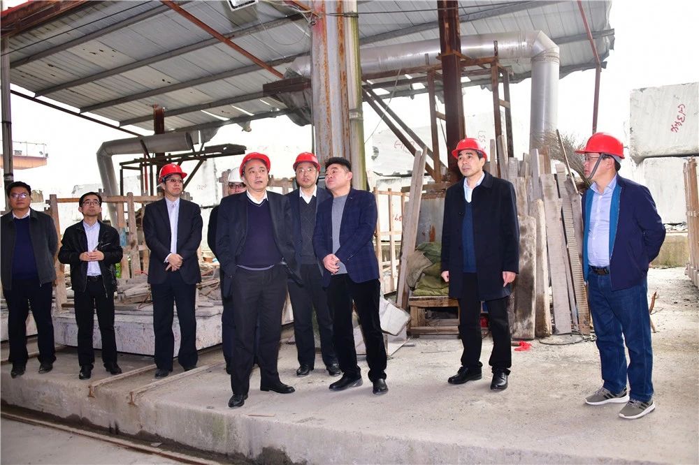 中國煤炭地質總局領導到廣西忻城(銀白龍大理石產地)考察石材產業