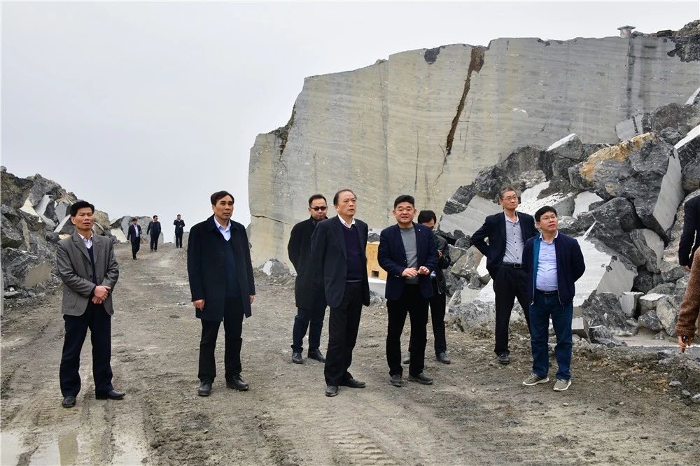 中國煤炭地質總局領導到廣西忻城(銀白龍大理石產地)考察石材產業