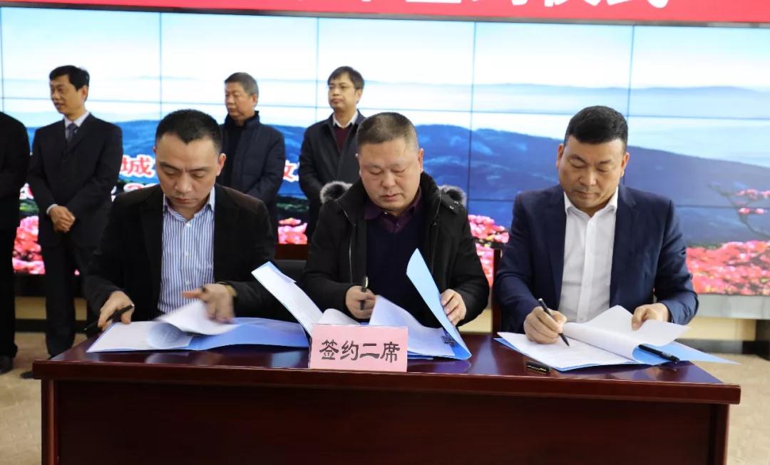 湖北麻城市舉行2019年“開門紅”招商引資項目集中簽約儀式,9家石材企業(yè)參加 2019麻城石材簽約動態(tài)