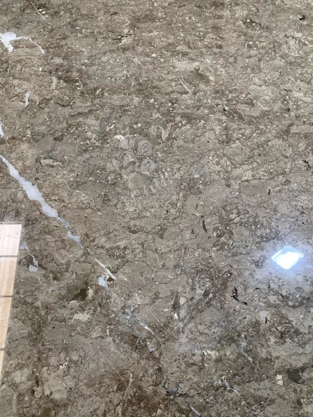 溫德姆灰（雅士灰）—2019重點(diǎn)推廣產(chǎn)品