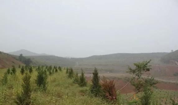 河南滎陽南部石材礦山現(xiàn)狀:生態(tài)修復(fù)初見成效