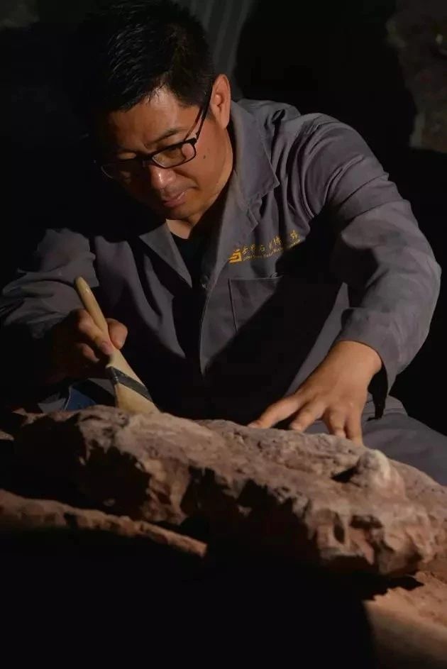 中國發現霸王龍足跡,收藏于南安水頭鎮英良世界石材自然歷史博物館