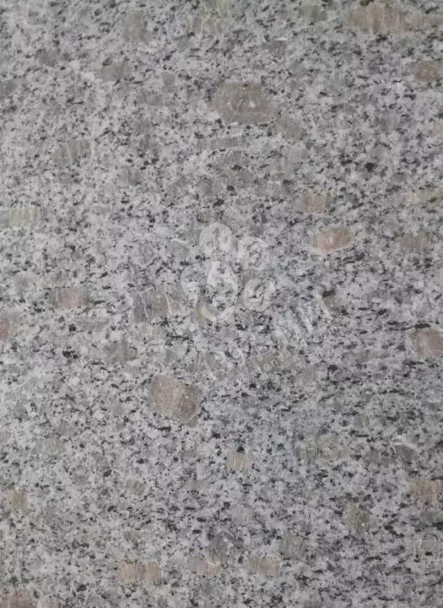 山東招遠珍珠花、珍珠紅、珍珠灰