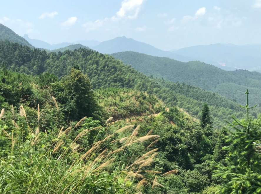 富強石材董事長彭宜斌:“綠色礦山——可持續發展勢在必行”演講紀實