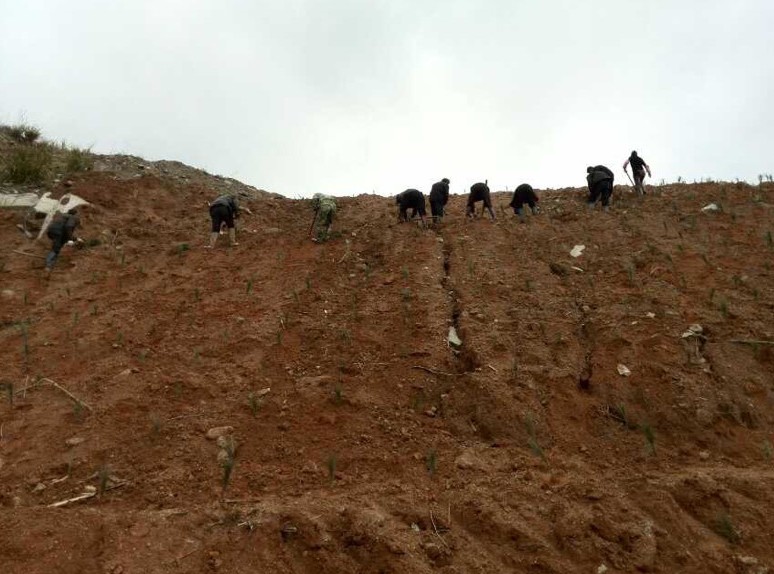 富強石材董事長彭宜斌:“綠色礦山——可持續發展勢在必行”演講紀實