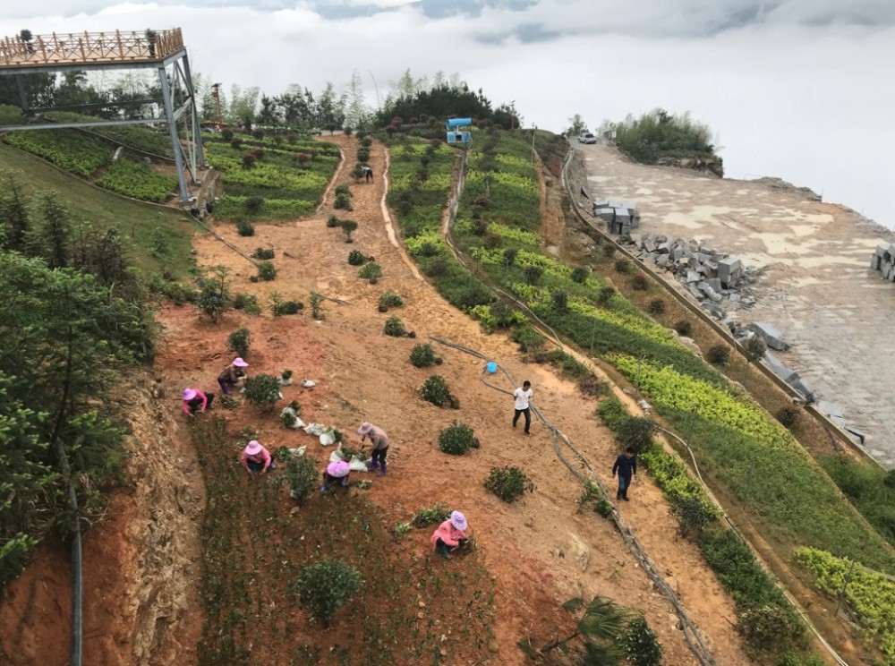 富強石材董事長彭宜斌:“綠色礦山——可持續發展勢在必行”演講紀實