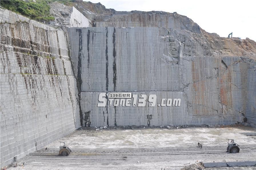 中國(guó)小藍(lán)寶(屏南654)替代長(zhǎng)泰芝麻黑