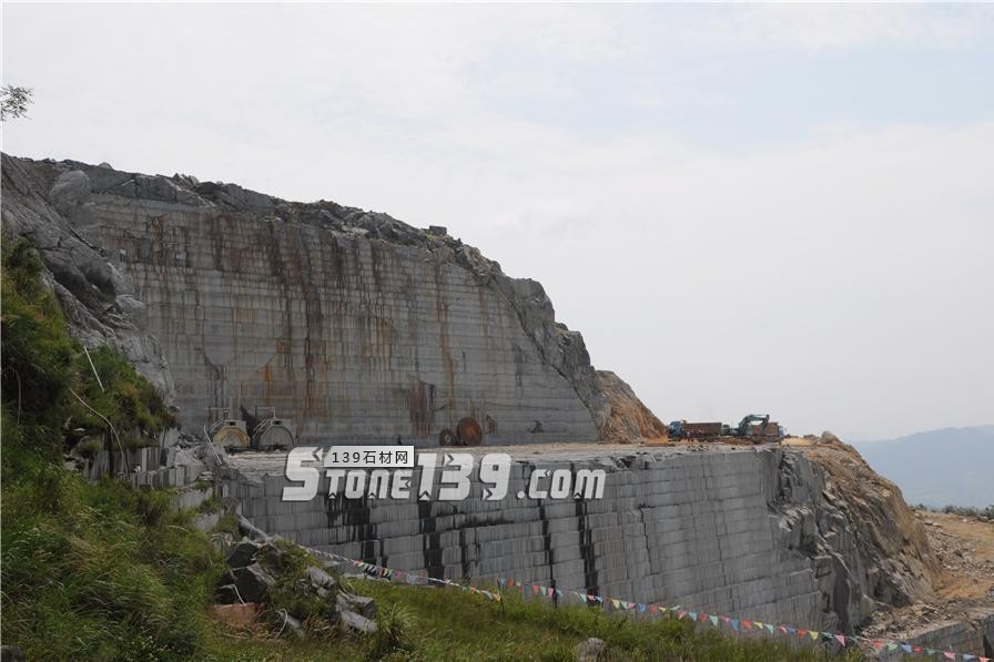 中國(guó)小藍(lán)寶(屏南654)替代長(zhǎng)泰芝麻黑