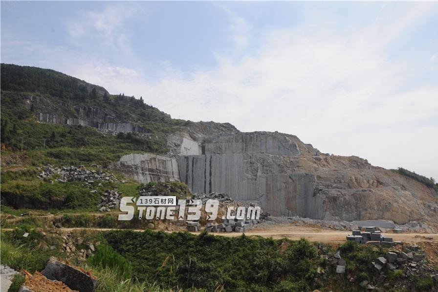 中國(guó)小藍(lán)寶(屏南654)替代長(zhǎng)泰芝麻黑