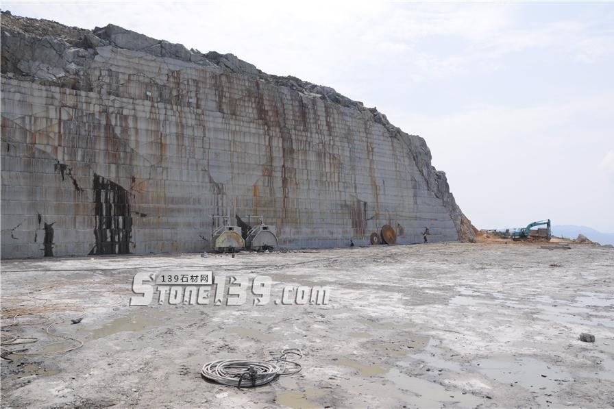 中國(guó)小藍(lán)寶(屏南654)替代長(zhǎng)泰芝麻黑