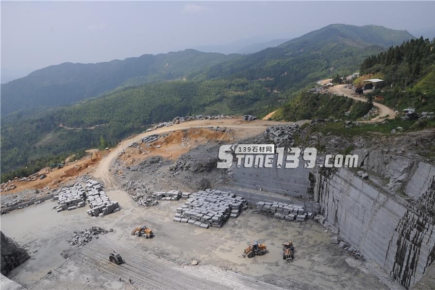 中國(guó)小藍(lán)寶(屏南654)替代長(zhǎng)泰芝麻黑