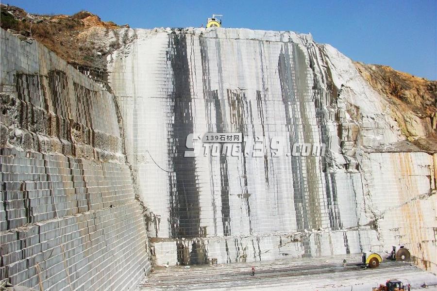 中國(guó)小藍(lán)寶(屏南654)替代長(zhǎng)泰芝麻黑