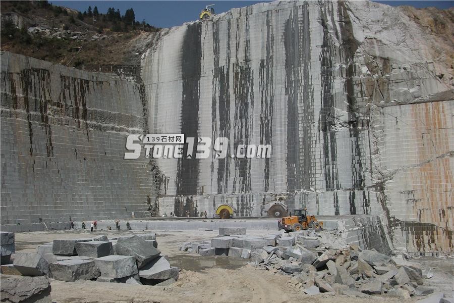 中國(guó)小藍(lán)寶(屏南654)替代長(zhǎng)泰芝麻黑