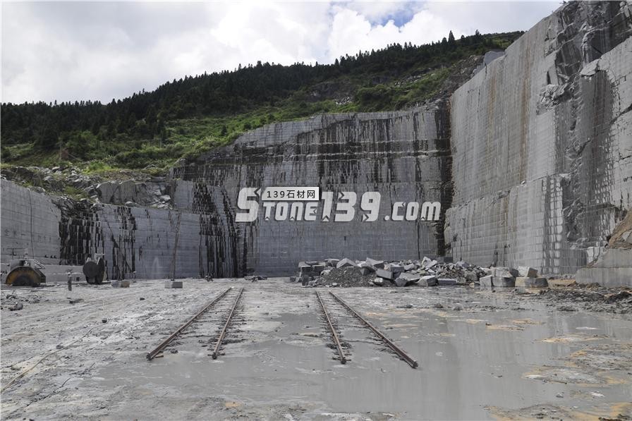 中國(guó)小藍(lán)寶(屏南654)替代長(zhǎng)泰芝麻黑