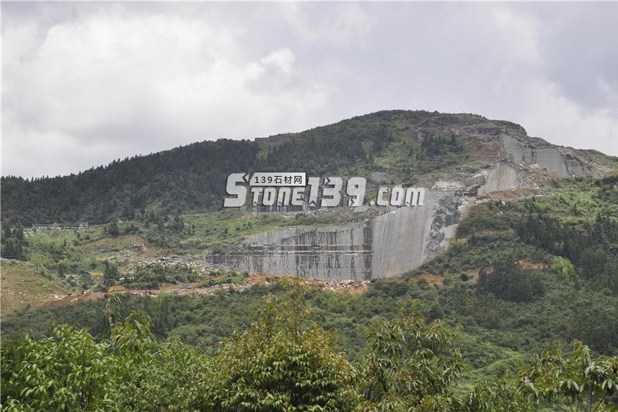 中國(guó)小藍(lán)寶(屏南654)替代長(zhǎng)泰芝麻黑