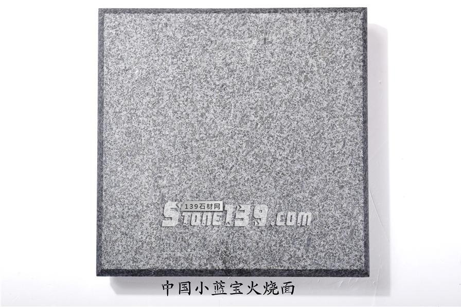 中國(guó)小藍(lán)寶(屏南654)替代長(zhǎng)泰芝麻黑