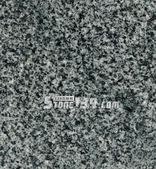 中國(guó)小藍(lán)寶(屏南654)替代長(zhǎng)泰芝麻黑