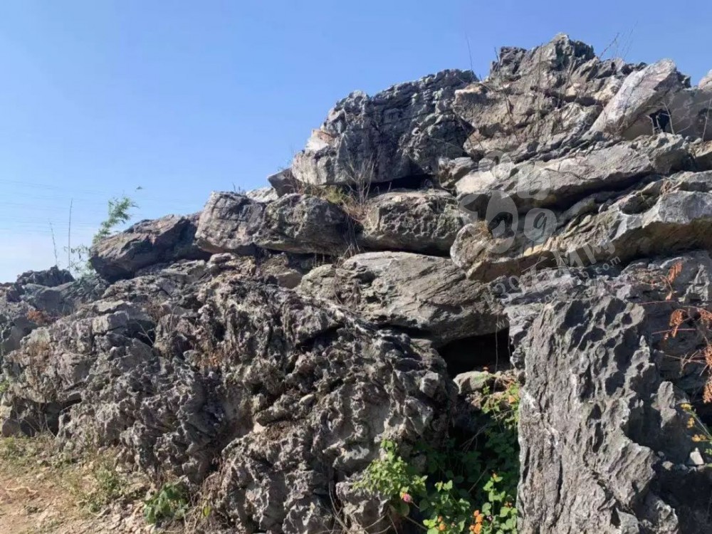 廣東英德石園林造景常用石材欣賞!