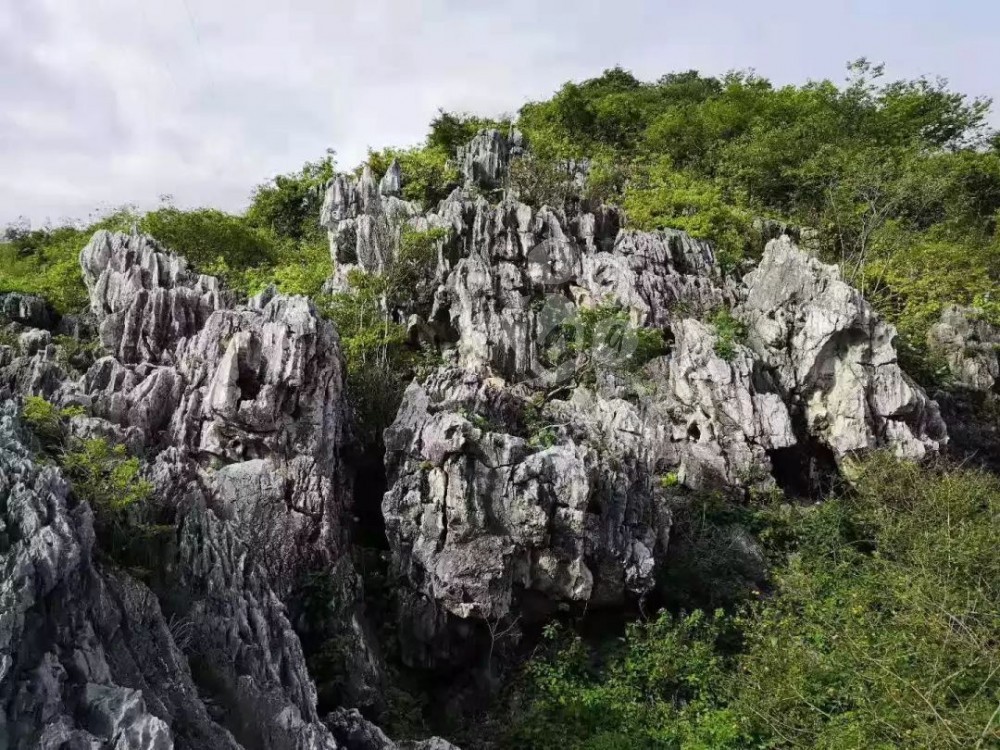 廣東英德石園林造景常用石材欣賞!