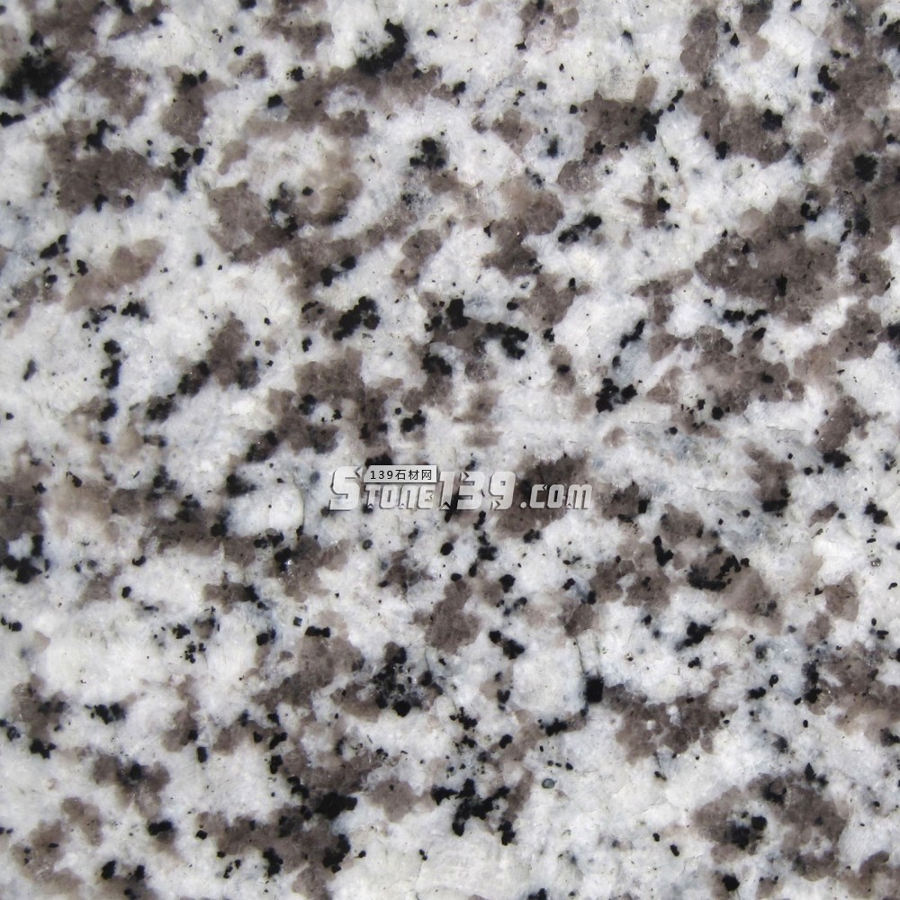 廣東巴拉白(大白花)與江西巴拉白的對比(圖)