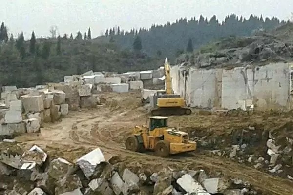 貴州斯蘭木紋產地紫云縣簽約2億投資項目