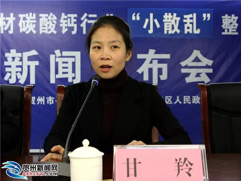 廣西賀州市石材碳酸鈣行業“小散亂”整治工作新聞發布會召開