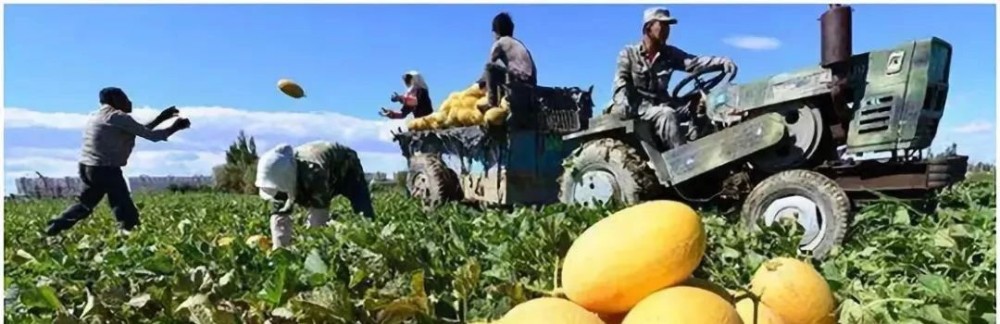 帶你領略大美新疆,附新疆產天然石材品種圖!