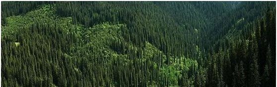 帶你領略大美新疆,附新疆產天然石材品種圖!