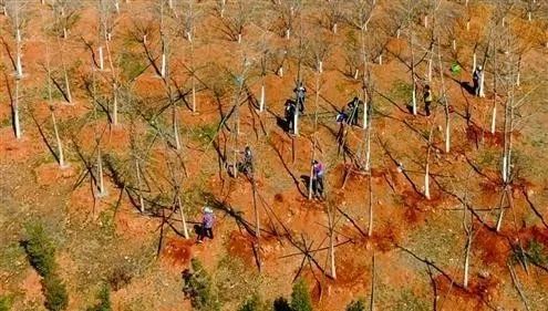 山東“濟南青石材”大理石平臺 為何日益珍貴？